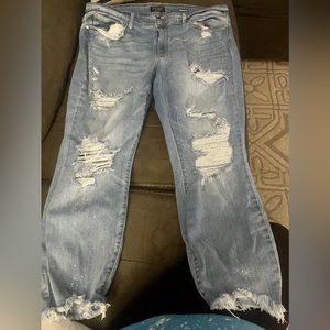 Judy blue plus size jeans
